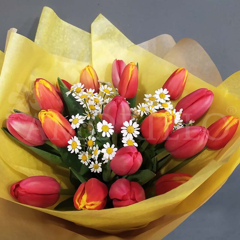 Fiori gialli e come usarli